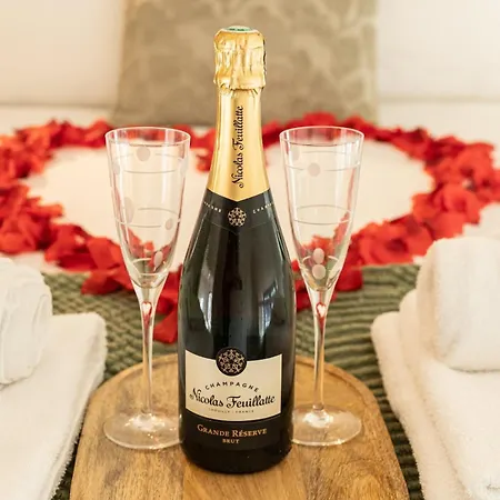 Apartamento Le O De Saone, Escapade Romantique *